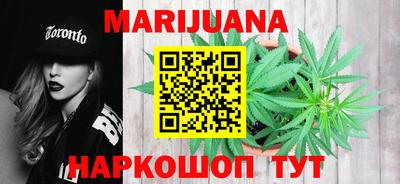 Альфа ПВП Новодвинск
