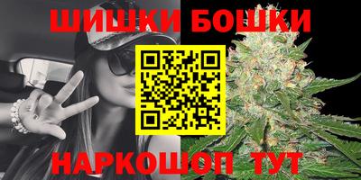прущие грибы Новокубанск