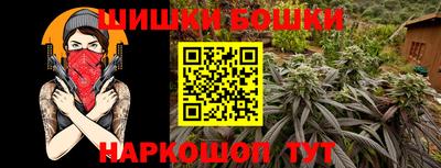 прущие грибы Новокубанск