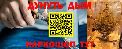 прущие грибы Новокубанск